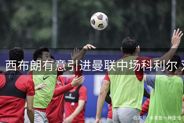 西布朗有意引进曼联中场科利尔 双方开启转会谈判